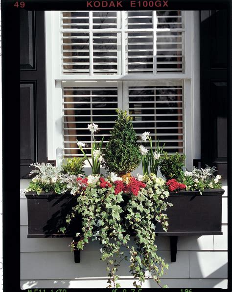 window box ideas for winter.